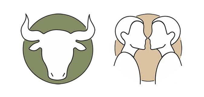 Taurus-Gemini-Cusp-Signs An image of Cusp Signs. and taurus gemini cusp signs. People refer to people that are born on or near the star sign change over dates as cusp signs.